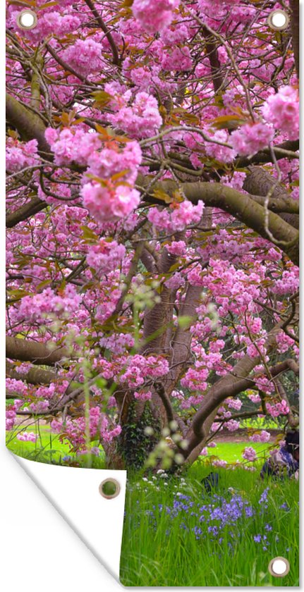 Tuinposter Kersenboom - Bloesem - Roze - 40x80 cm - Wanddecoratie Buiten - Tuinposter - Tuindoek - Schuttingposter - Tuinschilderij