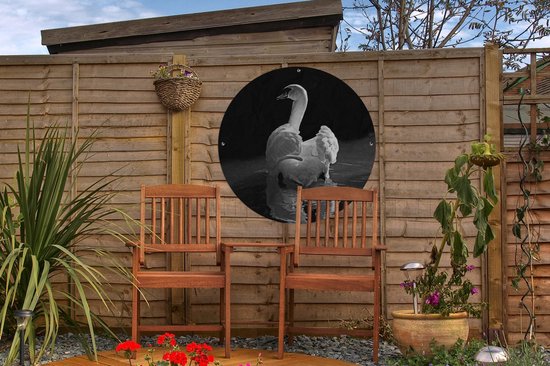 Garden Circle Cygne Witte - 60x60 cm - Affiche de Jardin Ronde - Extérieur