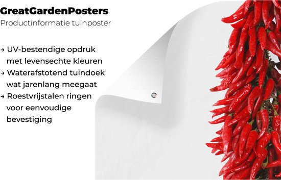 Décoration murale d'extérieur Une guirlande de piments de Cayenne ou Capsicum frutescens - 160x80 cm - Toile jardin - Poster extérieur