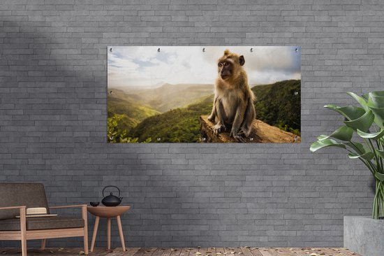 Schuttingposter Aap - Rots - Dieren - Berg - Mos - 200x100 cm ...