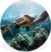 WallCircle - Wandcirkel ⌀ 60 - Twee zeeschildpadden - Ronde schilderijen woonkamer - Wandbord rond - Muurdecoratie cirkel - Kamer decoratie binnen - Wanddecoratie muurcirkel - Woonaccessoires