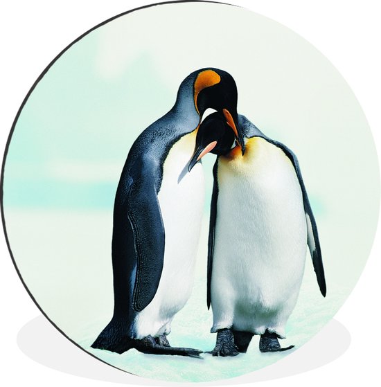 Wandcirkel - Muurcirkel - Pinguïns - Sneeuw - Familie - Aluminium - ⌀ - Binnen en Buiten