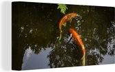 Canvas Schilderij Twee koi karpers om een vijver - 80x40 cm - Wanddecoratie