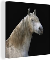 Cheval Wit sur toile fond noir 2cm 50x50 cm - Tirage photo sur toile (Décoration murale salon / chambre) / Peintures sur toile Animaux de la ferme