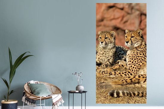 Stickers Stickers muraux - Mère Cheetah et petits - 80x160 cm - Film adhésif