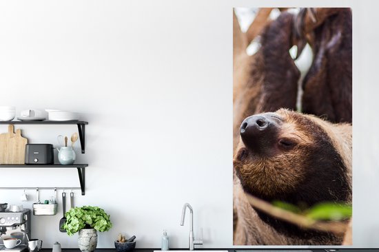 Poster Een luiaard van dichtbij ondersteboven hangend - 80x160 cm