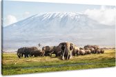 Schilderij -Kudde Olifanten bij de Kilimanjaro 100x70cm, wanddecoratie