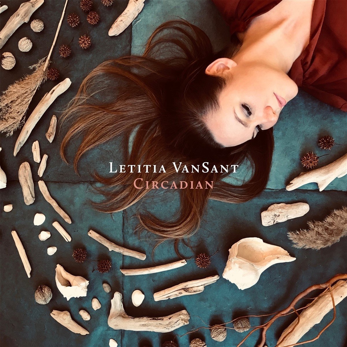 Letitia VanSant - Circadian (CD)