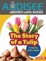 Step by Step - The Story of a Tulip