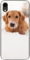 Geschikt voor iPhone XR hoesje - Hond - Sneeuw - Winter - Siliconen Telefoonhoesje