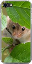 Geschikt voor iPhone SE 2020 hoesje - Dwergmuis - Jong - Bladeren - Siliconen Telefoonhoesje