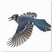 Muismat - Mousepad - Vogel - Veren - Wit - 30x30 cm - Muismatten