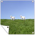 Product afbeelding  16