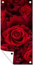 Wanddecoratie buiten Bloemen - Rozen - Rood - 80x160 cm - Tuindoek - Buitenposter