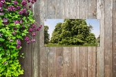 Tuinposter Een kastanjeboom tijdens de lente in Engeland - 60x30 cm - Tuindoek