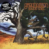 Groundation - Young Tree (2 LP)