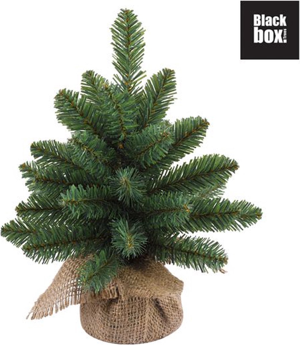 Black Box Kunstkerstboom Derby - 20x20x30 cm - Pvc - Groen