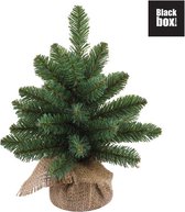 Black Box Trees - Derby kerstboom w burlap groen TIPS 36 - h30xd20cm- Kerstbomen