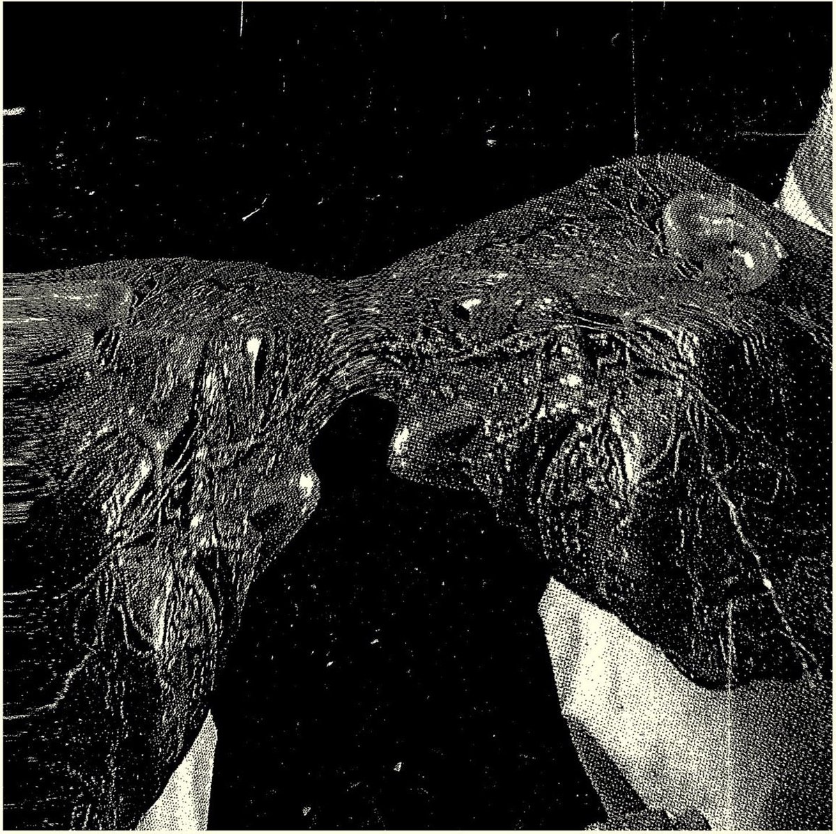 Secret Boyfriend - Memory Care Unit (LP)