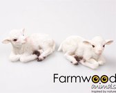 Farmwood Animals Tuinbeeld Lam polystone 12x7x8 cm (1 stuk) assorti