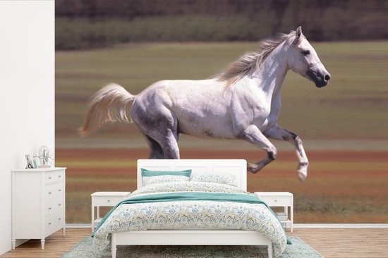 Fond d' écran - Papier peint photo - Enthousiaste cheval blanc courir dans le champ d'herbe - Largeur 450 cm x hauteur 300 cm