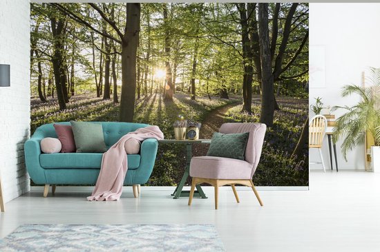 Papier peint - Papier peint photo Forêt - Arbre - Soleil - Largeur 600 cm x hauteur 400 cm