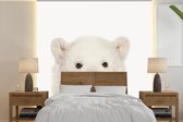 Fond d' écran - Papier peint photo Chambre de bébé - Ours polaire - Largeur 240 cm x 240 cm Hauteur
