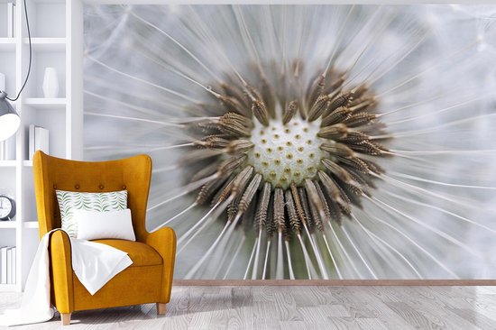 Papier peint photo peint vinyle - Il manque quelques graines de pissenlit largeur 525 cm x hauteur 350 cm - Tirage photo sur papier peint (disponible en 7 tailles)