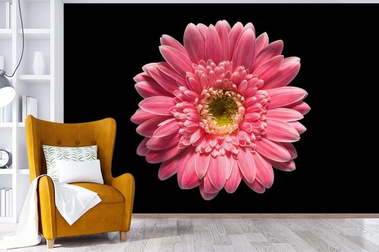 Papier peint Papier peint photo en vinyle - Fleur rose sur fond noir largeur 420 cm x hauteur 280 cm - Tirage photo sur papier peint (disponible en 7 tailles)