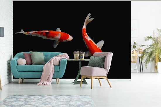 Papier peint photo vinyle - Deux carpes koi colorées avec un fond noir largeur 330 cm x hauteur 220 cm - Tirage photo sur papier peint (disponible en 7 tailles)