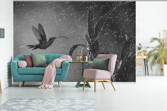 Papier peint - Papier peint Papier peint photo Colibri sous la pluie dans la nature du Costa Rica en noir et blanc - Largeur 600 cm x hauteur 400 cm