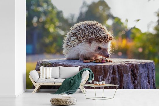 Papier peint photo peint vinyle - Manger hérisson largeur 330 cm x hauteur 220 cm - Tirage photo sur papier peint (disponible en 7 tailles)