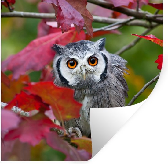 Muurstickers - Sticker Folie - Uil - Vogel - Bladeren - Herfst - 30x30 cm - Plakfolie - Muurstickers Kinderkamer - Zelfklevend Behang - Zelfklevend behangpapier - Stickerfolie