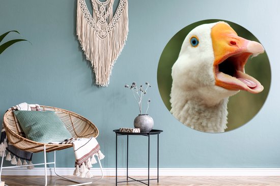 Gros plan d'une assiette en plastique de cercle de mur d'oie d'oie - ⌀ 140 cm - peinture ronde - impression photo sur cercle mural en plastique (forex) / cercle vivant / (décoration murale)