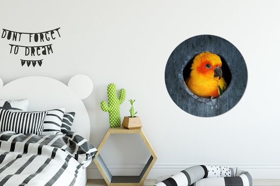 WallCircle - Muurstickers - Behangcirkel - Een Zonparkiet zit in een nest in een boom - 80x80 cm - Muurcirkel - Zelfklevend - Ronde Behangsticker
