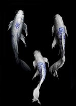 The art of fish – 80cm x 120cm - Fotokunst op PlexiglasⓇ incl. certificaat & garantie.