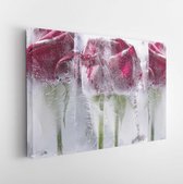 Onlinecanvas - Schilderij - Frozen Roses Art Horizontaal Horizontal - Multicolor - 80 X 60 Cm