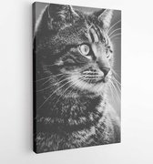 Grijswaardenfotografie van gestreepte kat - Modern Art Canvas - Verticaal - 172421 - 50*40 Vertical