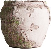 - planter cement ø14x12.5cm - antique grey - 14x125x