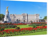 Gazon in bloei voor het Buckingham Palace in Londen - Foto op Canvas - 60 x 40 cm