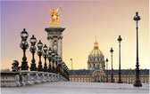 Zonsopgang op de Pont Alexandre III over de Seine in Parijs - Foto op Forex - 45 x 30 cm