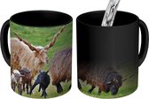 Magische Mok - Foto op Warmte Mokken - Koffiemok - Schapen - Gras - Lam - Hoorn - Magic Mok - Beker - 350 ML - Theemok