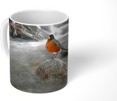 Mok - Koffiemok - Roodborst - Steen - Rivier - Mokken - 350 ML - Beker - Koffiemokken - Theemok