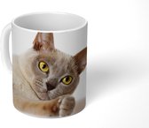 Mok - Geel gekleurde ogen van de Burmese kat - 350 ML - Beker