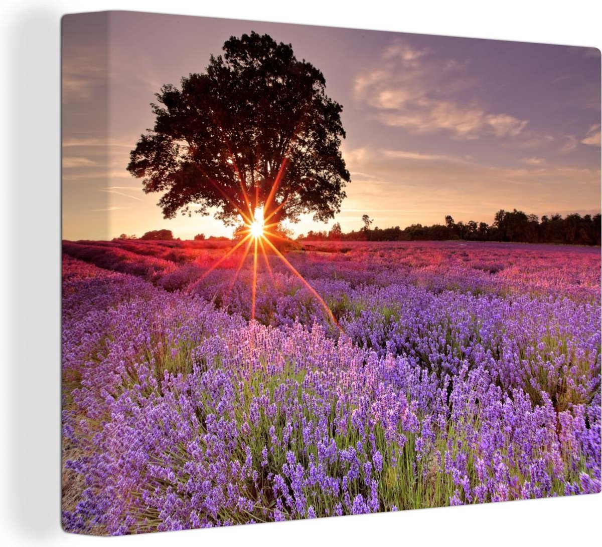 Canvas Schilderij Een lavendelveld met boom bij zonsondergang - 120x90 cm - Wanddecoratie