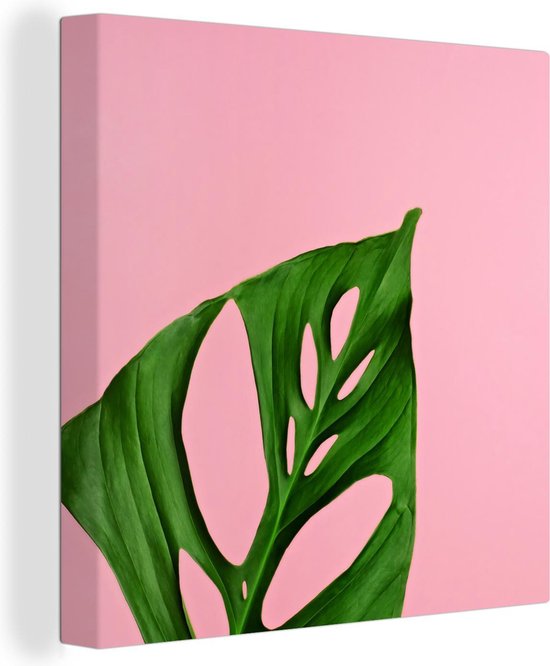 Canvas Schilderij Botanisch blad op een roze achtergrond - 50x50 cm - Wanddecoratie