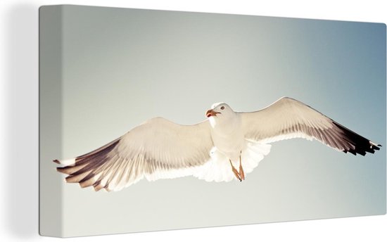 Canvas Schilderij Meeuw - Zee - Vleugels - 40x20 cm - Wanddecoratie