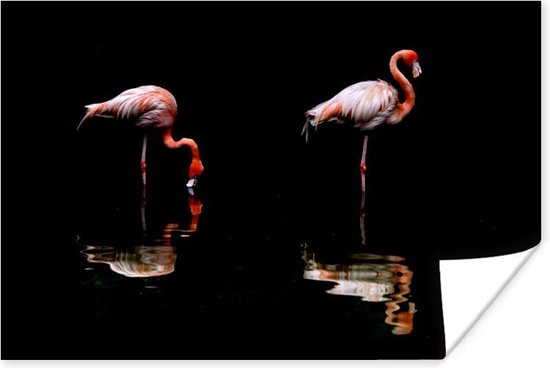 Poster Twee flamingo's staan in het water - 90x60 cm