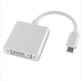 Garpex® USB C naar DVI Adapter - USB 3.1 naar DVI-D Converter 1080P - Zilvergrijs