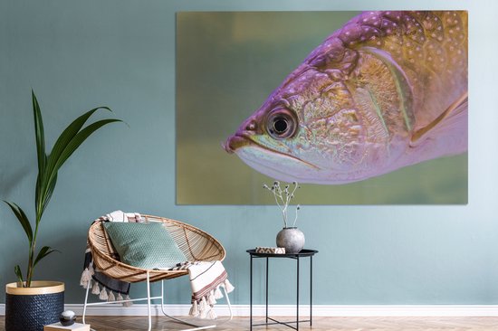 Tableau sur toile Truite aux couleurs brillantes - 180x120 cm - Décoration murale XXL